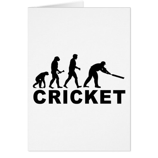 Cricket Evolution Cards (Front)