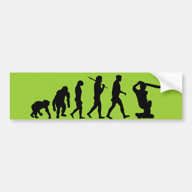 Cricket - Evolution of cricket Bumper Sticker (Front)