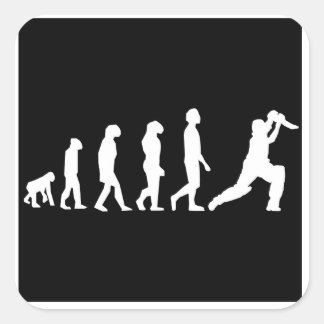 Cricket Evolution Square Sticker