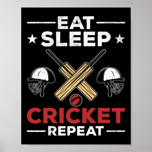 Cricket Fans Cricket Lovers Eat Sleep Cricket Play Poster (Front)