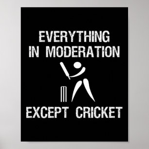 Cricket Game - Funny Moderation - Player Poster