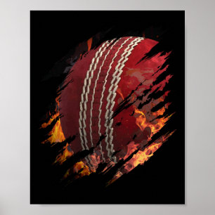 Cricket Ll On Fire Inside Of Me Fan Or Tsman Playe Poster