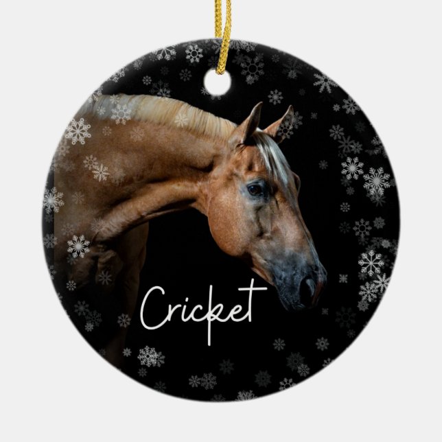 Cricket Ornament (Front)