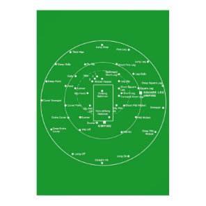 CRICKET PITCH POSITIONS Fielding Positions Diagram Poster
