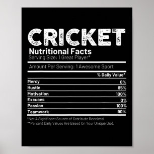 Cricket Player Gift For Men Poster