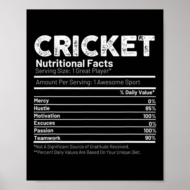 Cricket Player Gift For Men  Poster (Front)