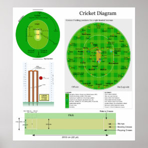 Cricket Position Field Pitch and Wicket Diagram Poster