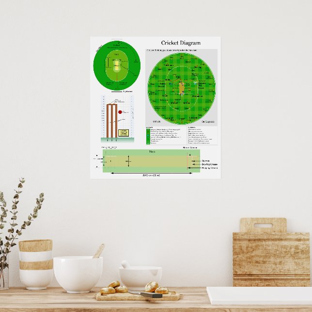 Cricket Position Field Pitch and Wicket Diagram Poster Zazzle