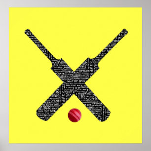 cricket poster