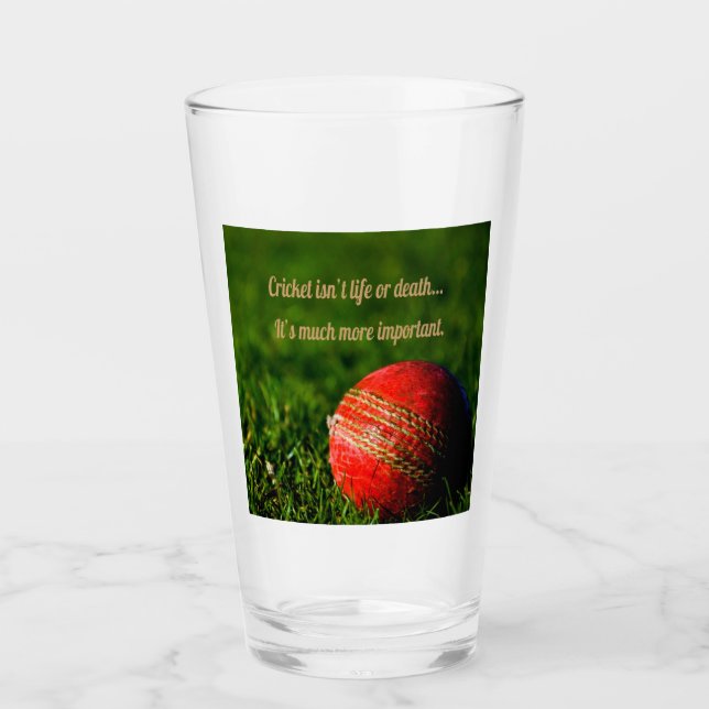 Cricket Red Ball Funny Motivational Glass (Front)