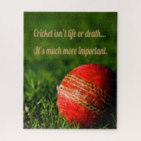 Cricket Red Ball Funny Motivational