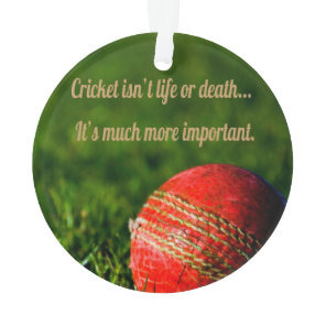 Cricket Red Ball Funny Motivational Ornament