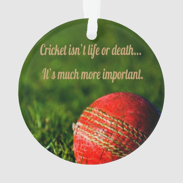 Cricket Red Ball Funny Motivational Ornament (Back)