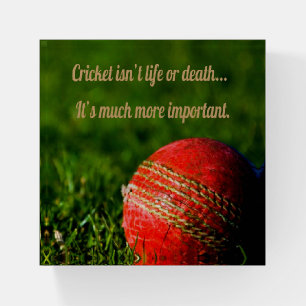 Cricket Red Ball Funny Motivational Paperweight