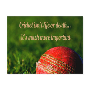 Cricket Red Ball Funny Motivational Postcard