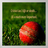 Cricket Red Ball Funny Motivational