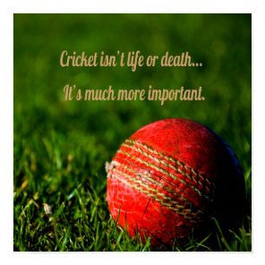 Cricket Red Ball Funny Motivational Poster