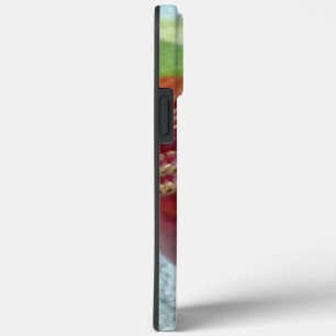 Cricket: Red Hard Ball Art Print iPhone 13 Pro Max Case