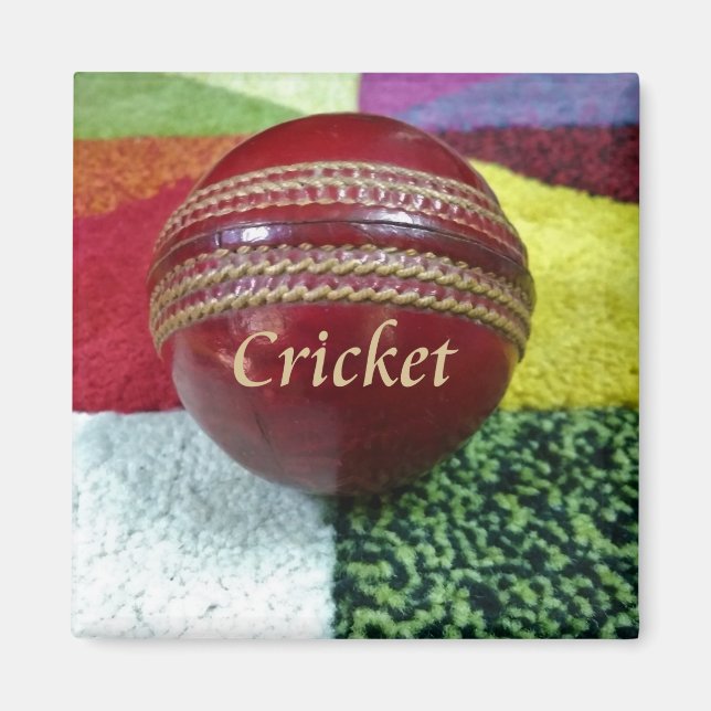 Cricket: Red Hard Ball Art Print Magnet (Front)