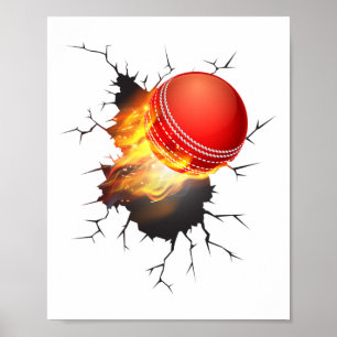 Cricket Shirt For Boys And Men Cricket Ll Of Fire  Poster