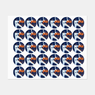 Cricket Stickers 2024