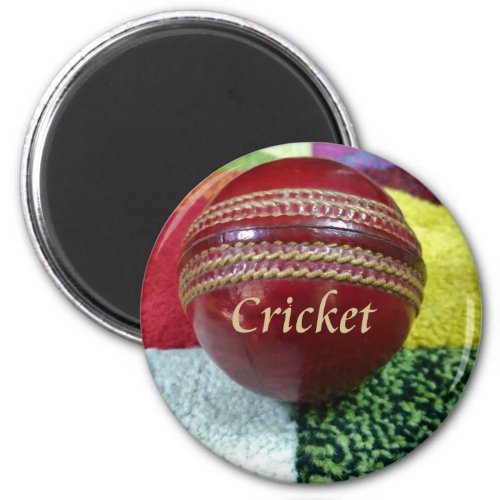 Cricket The Game We Love To Play Eat Sleep  Dre Magnet