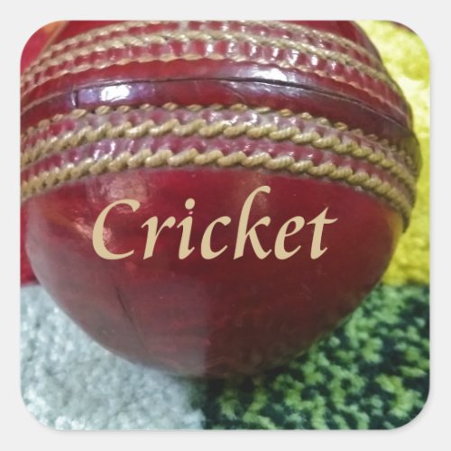 Cricket The Game We Love To Play Eat Sleep  Dre Square Sticker