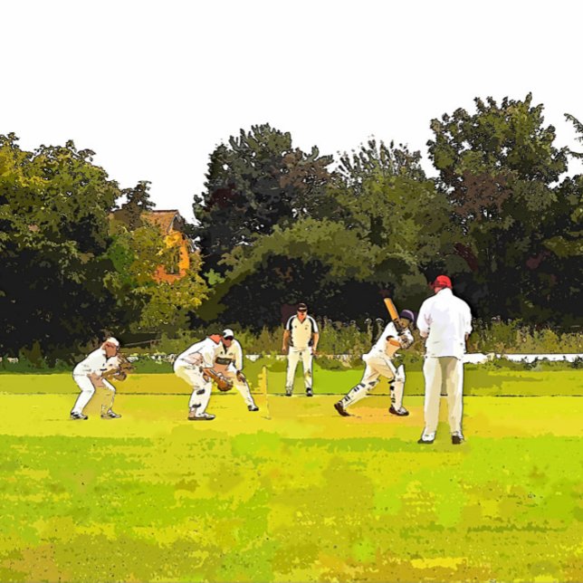 CRICKET THERMAL TUMBLER (A simple art design of a Sunday afternoon village cricket match.)