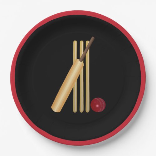 Cricket wicket bat and ball paper plates