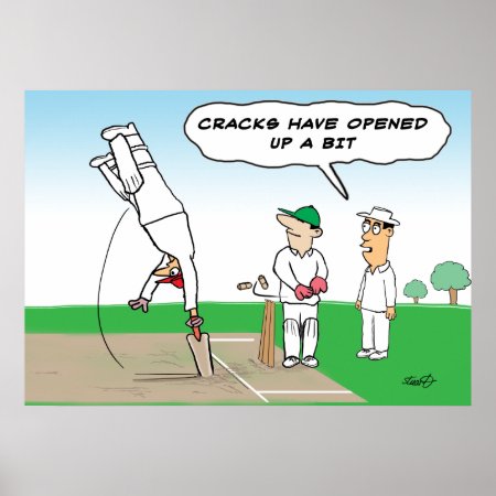 Cricket Wicket - Funny Cricket Poster
