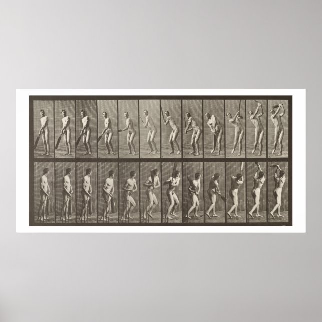 Cricketer, plate 291 from 'Animal Locomotion', 188 Poster (Front)