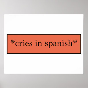 Cries in Spanish - Funny Sarcastic Meme Poster