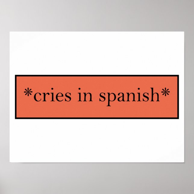 Cries in Spanish - Funny Sarcastic Meme Poster (Front)