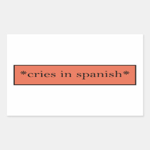 Cries in Spanish - Funny Sarcastic Meme Rectangular Sticker