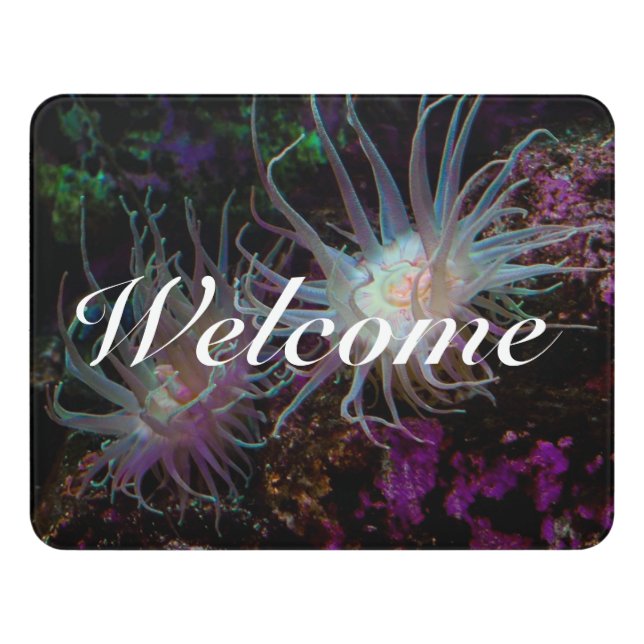 Crimson Anemone Welcome Door Sign (Contemporary Front)