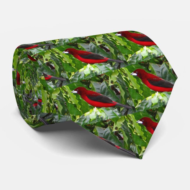 Crimson Backed Tanager Men's Tie (Rolled)