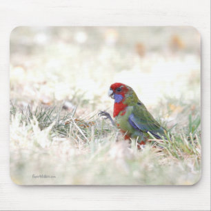 Crimson Beauty Mouse Pad