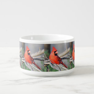 Crimson Cardinal Chili Bowl