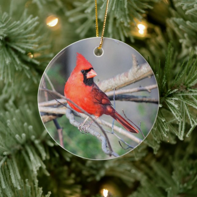 Crimson Cardinal Crest Premium Ornament (Tree)