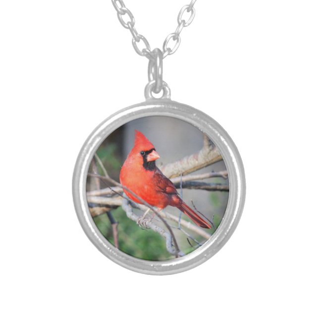 Crimson Cardinal Portrait Silver Plated Necklace (Front)