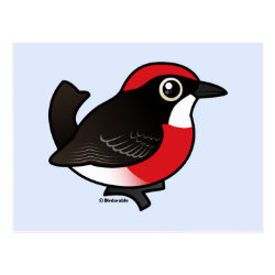 Crimson Chat Postcard