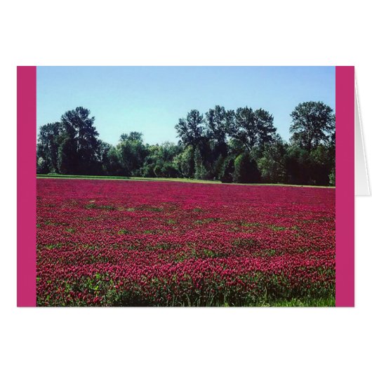 Crimson Clover Field Cards (Front Horizontal)