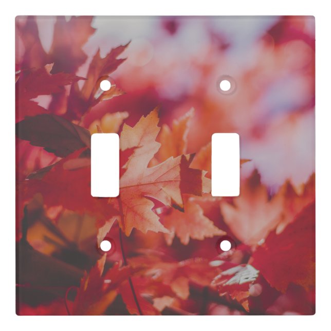 Crimson Maple Reverie Light Switch Cover (Front)