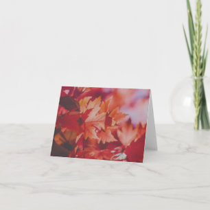 Crimson Maple Reverie Note Card