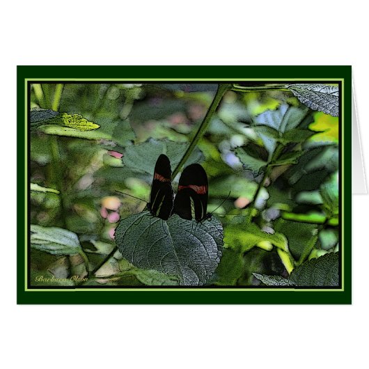 Crimson-Patched Longwing Cards (Front Horizontal)