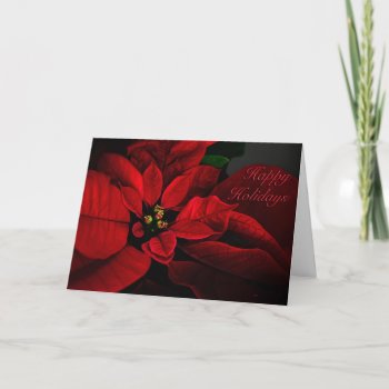 Crimson Red Poinsettia Happy Holidays Card by LoisBryan at Zazzle