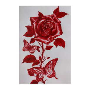 Crimson Red Rose and Butterflies Hand-Drawn Pen Sk Acrylic Print