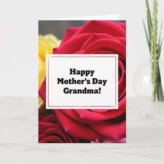 Crimson Rose Message Card (Front)