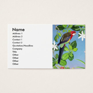 Crimson Roa Parrot Office Products Supplies Zazzle Crimson Roa Business Card