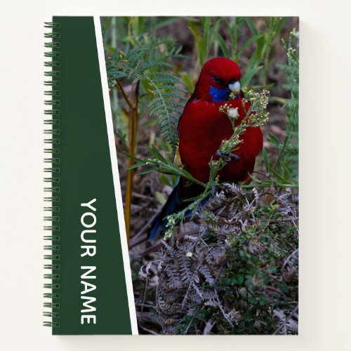 Crimson Rosella Red Bird Australia Green Notebook